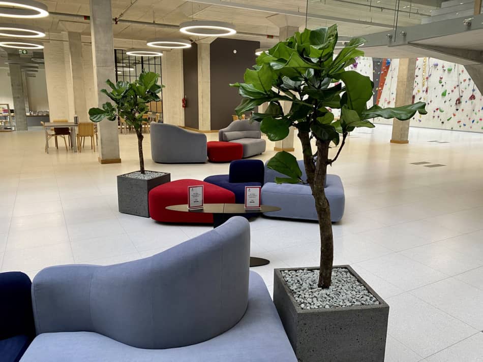 دکتر امیر صفری