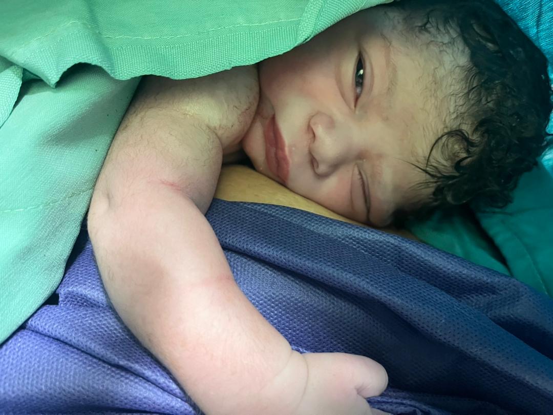 لاله نیک پی