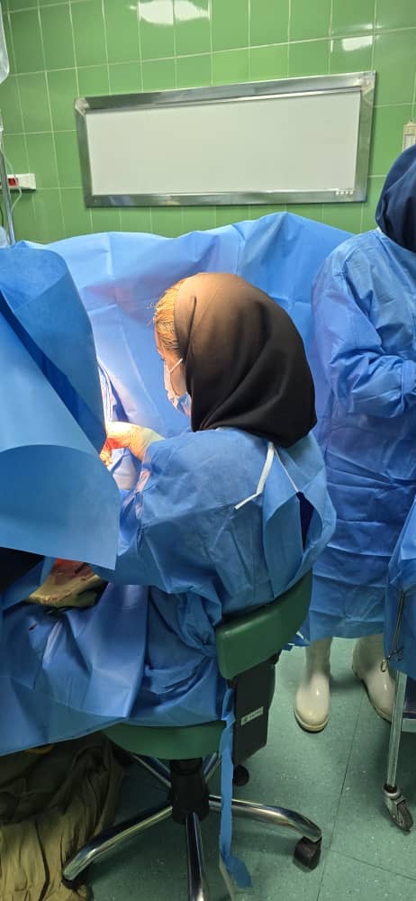 سعیده ایرانشاهی